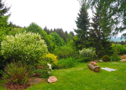 Kde se kurzy konají?