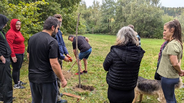 Týmový rozvojový camp pro dospělé – jednodenní ochutnávka - Mrákotín Scarabeus (foto 2)
